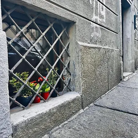 Taurus * Turin